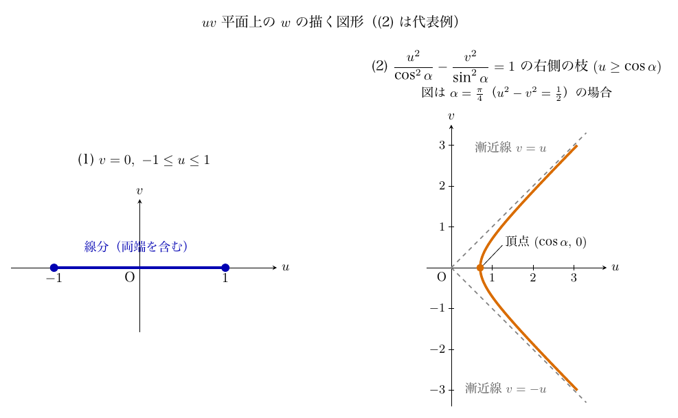 「uv平面上のwの描く図形（(2)は代表例）」と題する2図で、両図とも横軸u、縦軸v、原点O。左の(1) v=0, −1≤u≤1は、u軸上の−1から1までの青い線分で、両端の青い黒丸と「線分（両端を含む）」の注記により端点を含むことを示す。右の(2) u²/cos²α−v²/sin²α=1の右側の枝（u≥cos α）は、α=π/4（u²−v²=1/2）の場合の橙色の曲線で、頂点(cos α, 0)に橙の点と引出線があり、灰色の破線で漸近線v=uとv=−uが描かれている。右図のu目盛は1から3、vは−3から3まで1刻み。